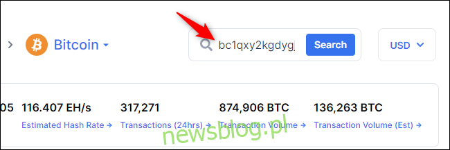 Wyszukiwanie transakcji z adresem Bitcoin.