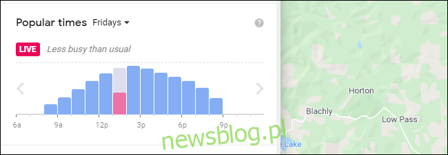 Mapy Google pokazujące popularne godziny dla lokalizacji w jej witrynie internetowej