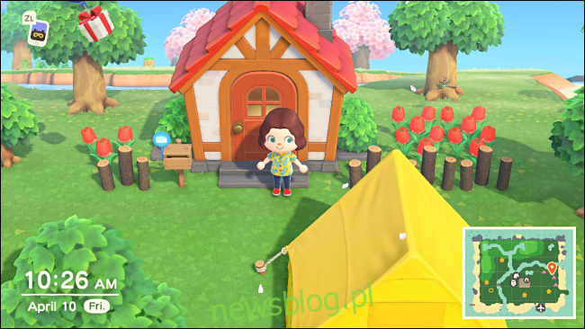 Irytujący namiot w Animal Crossing: New Horizons