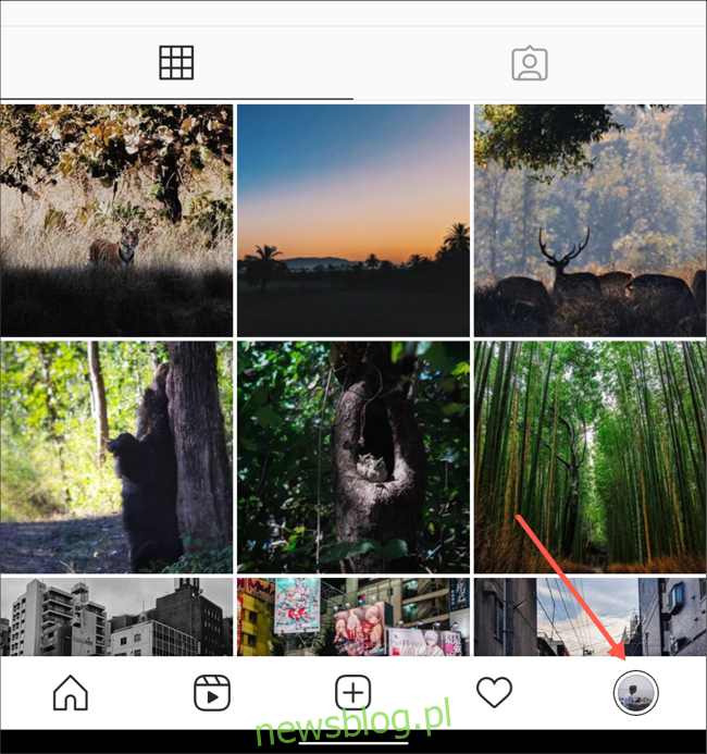 Odwiedź zakładkę profilu w aplikacji Instagram