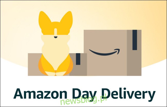 Ilustracja dostawy dzień Amazon