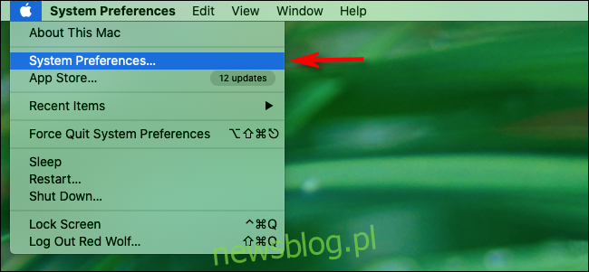 Uruchom Preferencje systemowe z menu Apple na komputerze Mac