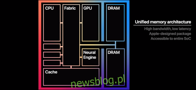 Grafika przedstawiająca różne części procesora M1.