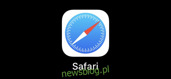 Logo Safari na iOS
