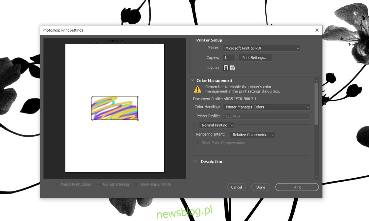 Photoshop ciągle się zawiesza podczas drukowania w systemie Windows 10 (PEŁNA NAPRAWA)