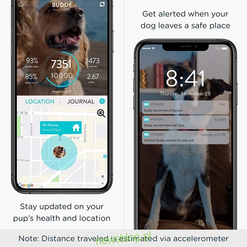Lokalizator GPS dla psów FitBark |  Zdrowie i lokalizacja Inteligentna obroża do śledzenia zwierząt
