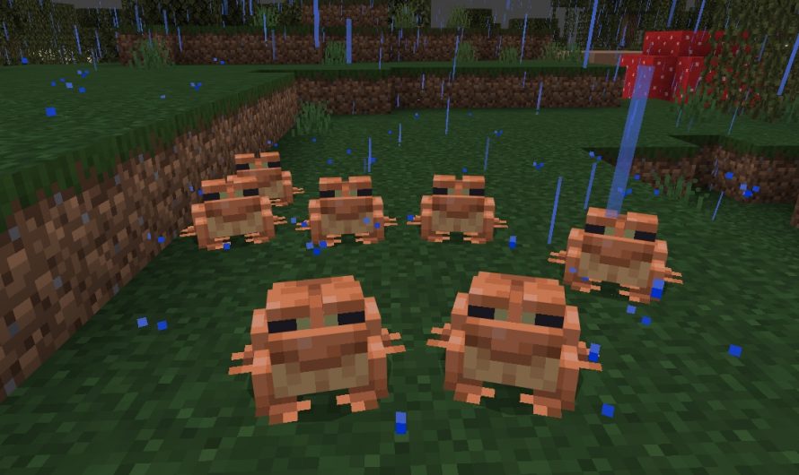 Minecraft Frogs: Jak je znaleźć