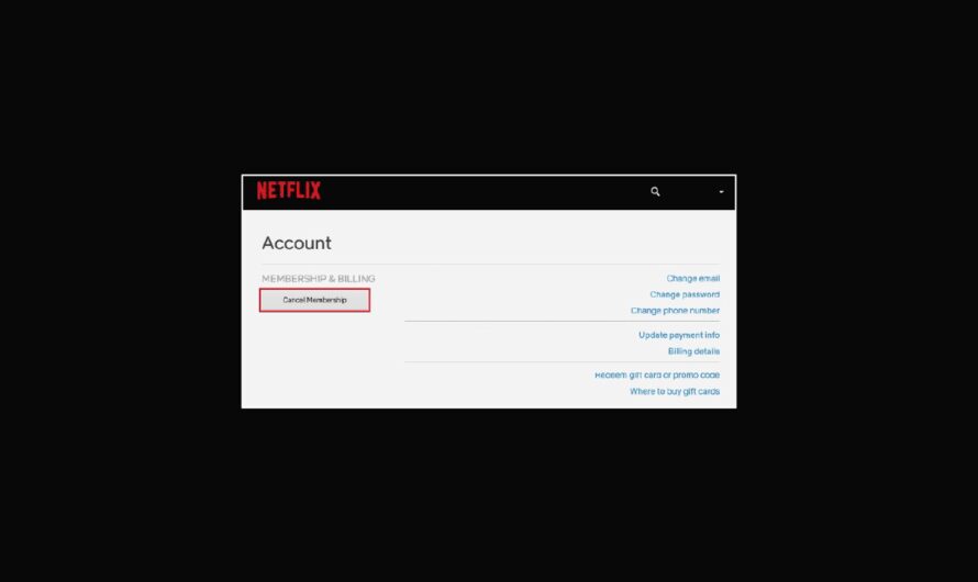 Jak anulować moje konto Netflix