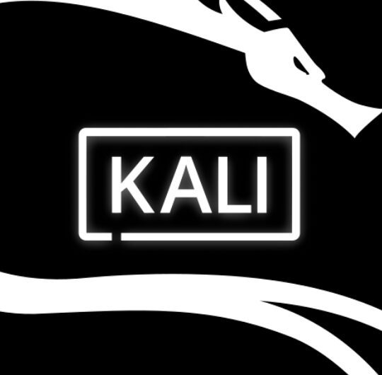 Kali Linux – narzędzia do testowania bezpieczeństwa sieci